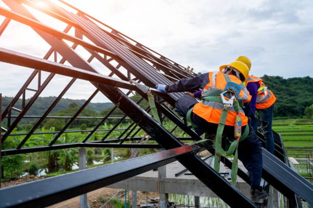 Best Metal Roofing Contractor  in Brooklyn, IA